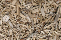 biomass boilers Swineford